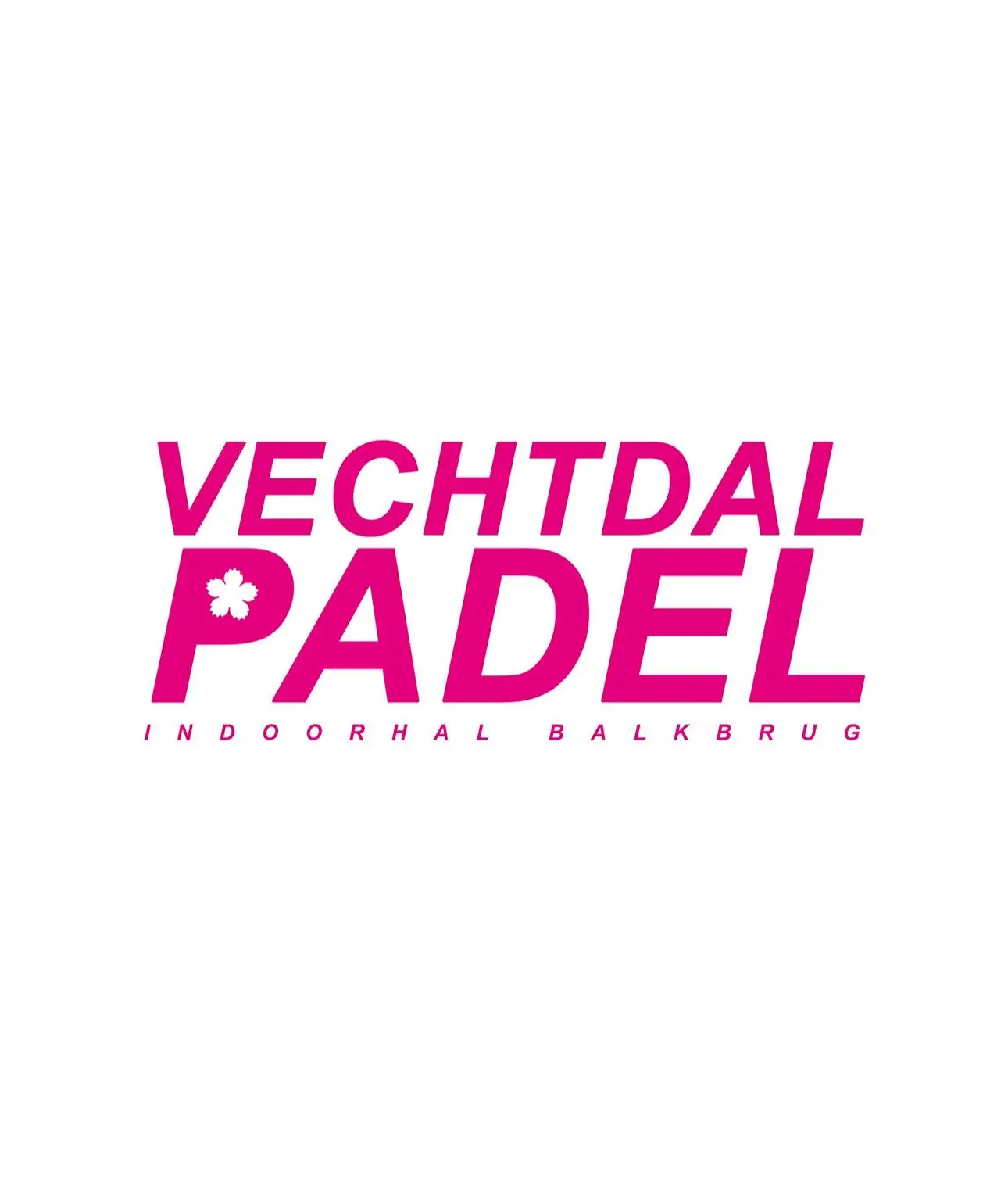 Logo Vechtdal Padel
